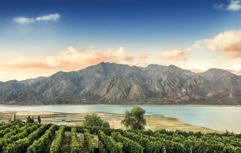 Exuberantes y prósperos viñedos en Mendoza, Argentina, conocidos por producir excelentes vinos.